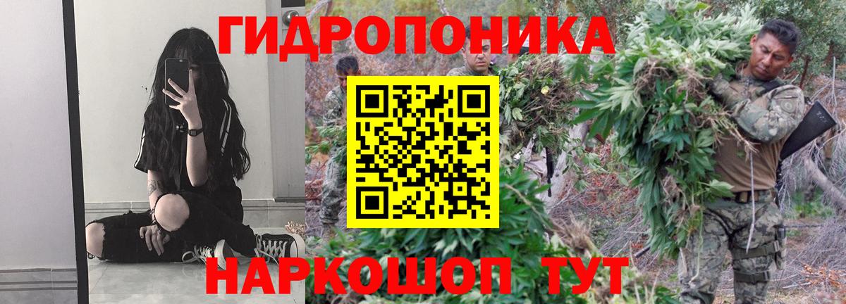 Киселёвск  Конопля гибрид  Шишки марихуана SATIVA & INDICA  Вход с VPN 